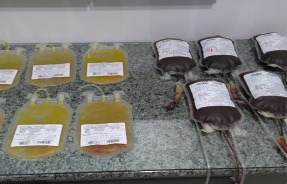 Ir para  <p>A ABERSE &ndash; Associa&ccedil;&atilde;o Beneficente dos Receptores de Sangue de Erechim abrir&aacute; suas portas neste s&aacute;bado, 02, para acolher doadores da a&ccedil;&atilde;o social &ldquo;Mister...